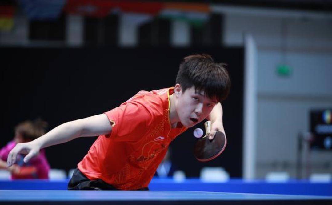 与专业分析 与专业分析