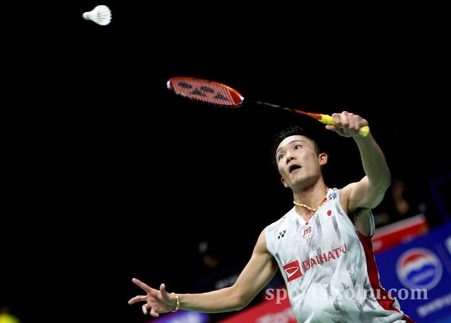 动结束后 动结束后