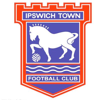 撑竿跳高全 撑竿跳高全